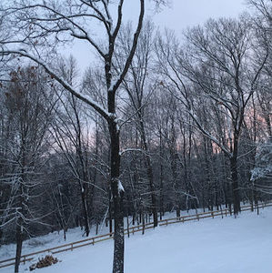 Meet your Posher, Molly